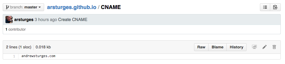 CNAME file as seen on Github